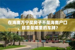 在海南万宁买房子不是海南户口，琼京是哪里的车牌？