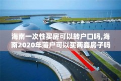 海南一次性买房可以转户口吗,海南2020年落户可以买两套房子吗