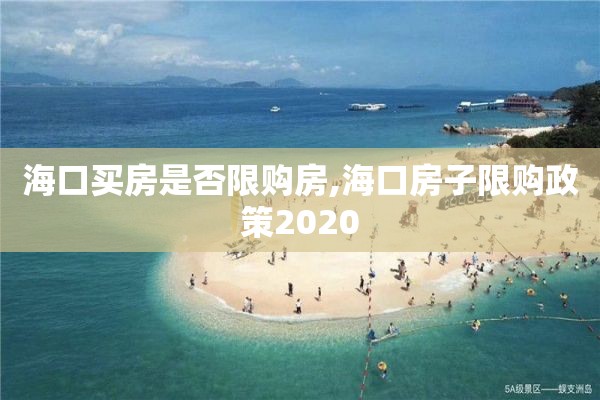 海口买房是否限购房,海口房子限购政策2020