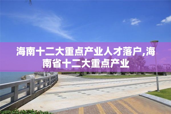 海南十二大重点产业人才落户,海南省十二大重点产业