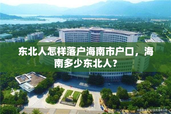 东北人怎样落户海南市户口，海南多少东北人？