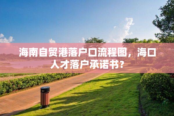 海南自贸港落户口流程图，海口人才落户承诺书？