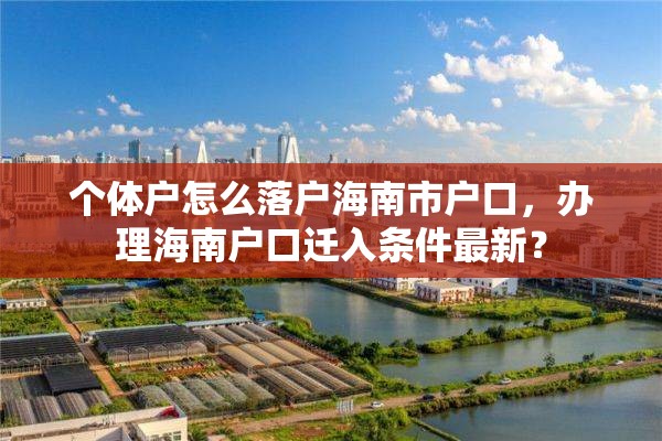 个体户怎么落户海南市户口，办理海南户口迁入条件最新？