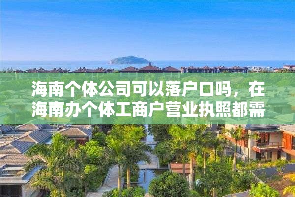 海南个体公司可以落户口吗，在海南办个体工商户营业执照都需要什么手续，最好具体点？