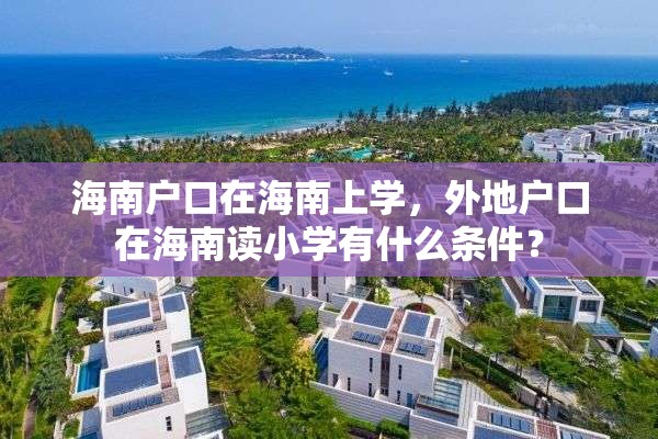 海南户口在海南上学，外地户口在海南读小学有什么条件？