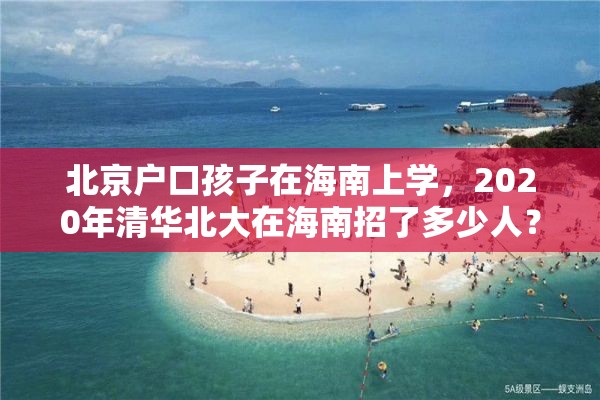 北京户口孩子在海南上学，2020年清华北大在海南招了多少人？