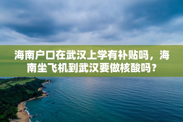 海南户口在武汉上学有补贴吗，海南坐飞机到武汉要做核酸吗？