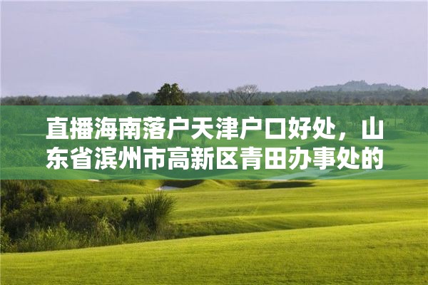 直播海南落户天津户口好处，山东省滨州市高新区青田办事处的村民是什么户口？