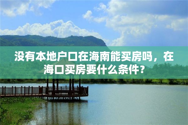 没有本地户口在海南能买房吗，在海口买房要什么条件？