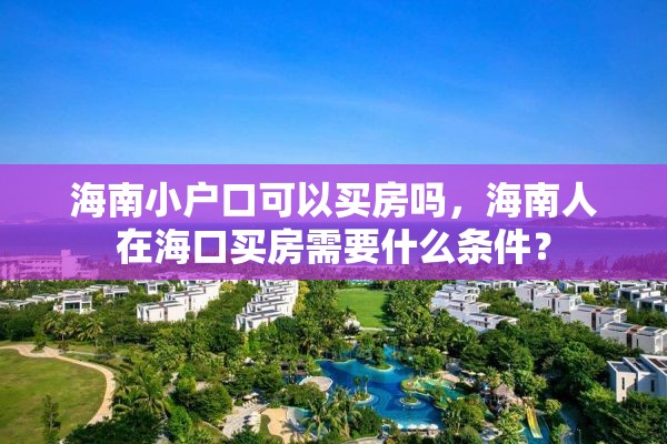 海南小户口可以买房吗，海南人在海口买房需要什么条件？