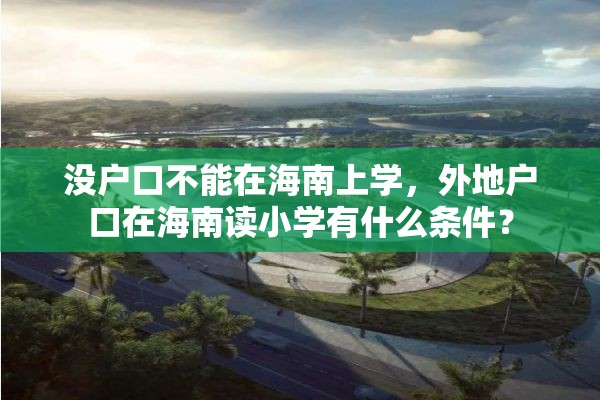 没户口不能在海南上学，外地户口在海南读小学有什么条件？