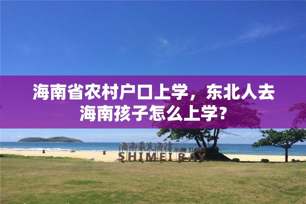 海南省农村户口上学，东北人去海南孩子怎么上学？