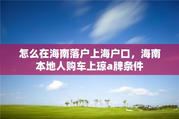 怎么在海南落户上海户口，海南本地人购车上琼a牌条件