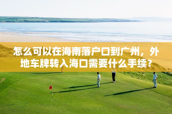 怎么可以在海南落户口到广州，外地车牌转入海口需要什么手续？