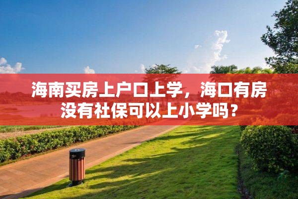 海南买房上户口上学，海口有房没有社保可以上小学吗？