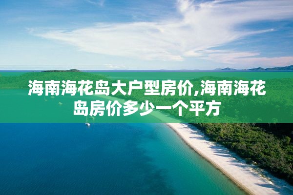 海南海花岛大户型房价,海南海花岛房价多少一个平方