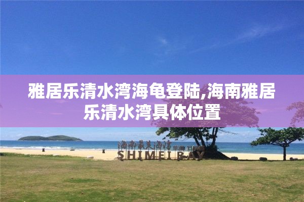 雅居乐清水湾海龟登陆,海南雅居乐清水湾具体位置